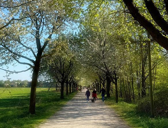 Scatti di colore e di movimento nel Parco